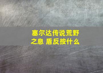 塞尔达传说荒野之息 盾反按什么